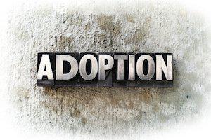 IL adoption lawyer